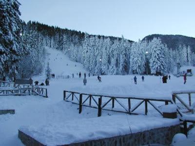 Studios-Villa Park Sv Borovets Extérieur photo